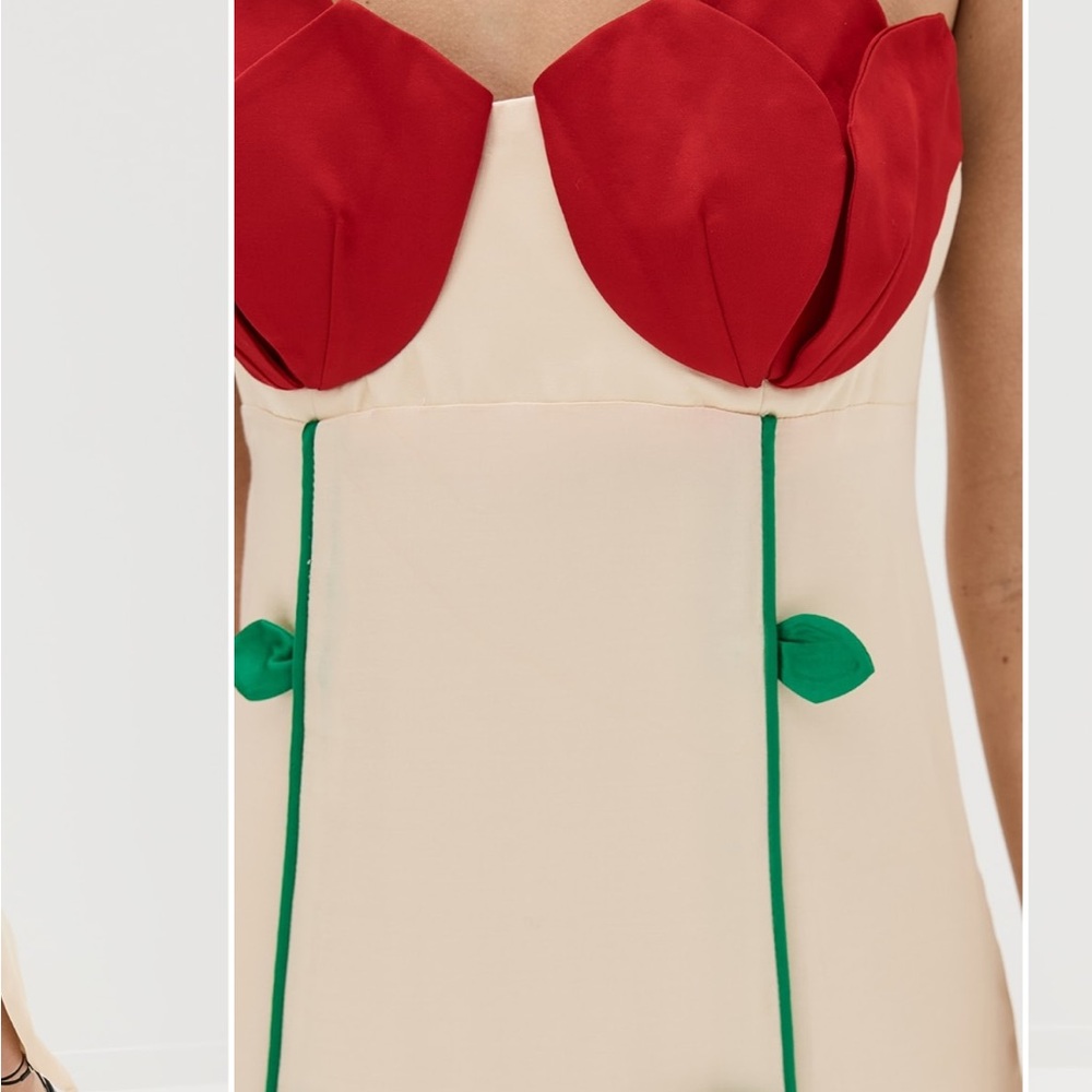 FARM Rio Cream Maxi Dress with Red Floral Bust and Green Trim - Picture 5 of 8